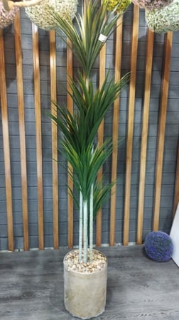 شجر صناعي صبار الدراسينا  نبات صناعي زينة الرياض الدمام جملة