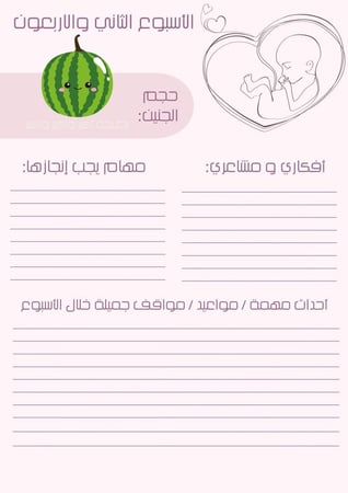 منظم نما للحامل خلال الفترة 9 شهور وردي