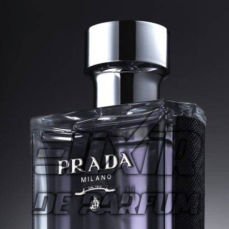 بديل برادا لوم Prada LHomme Alternative