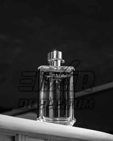 بديل برادا لوم Prada LHomme Alternative