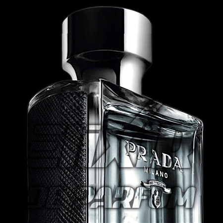 بديل برادا لوم Prada LHomme Alternative