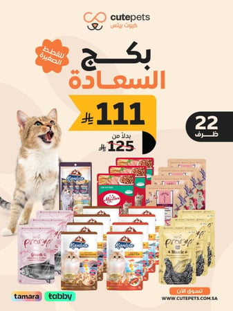 اكل القطط كيتن بالجملة بكج السعادة 22 قطعة
