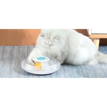 لعبة قطط دائرية