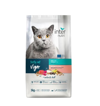 اكل قطط سمك جاف