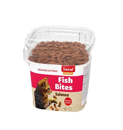 مكافأة سنال للقطط فيش بايتس بطعم السالمون 75 جم
