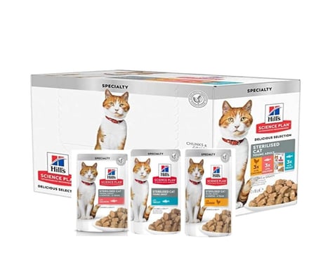 طعام قطط رخيص