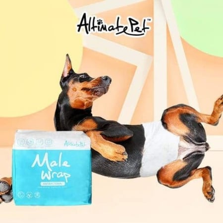 حفاضات الكلاب