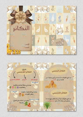 مطوية التكاثر مادة ( العلوم ) خامس ابتدائي