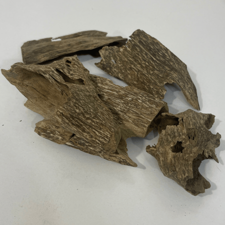 عود فيتنامي زوايا وقواقع