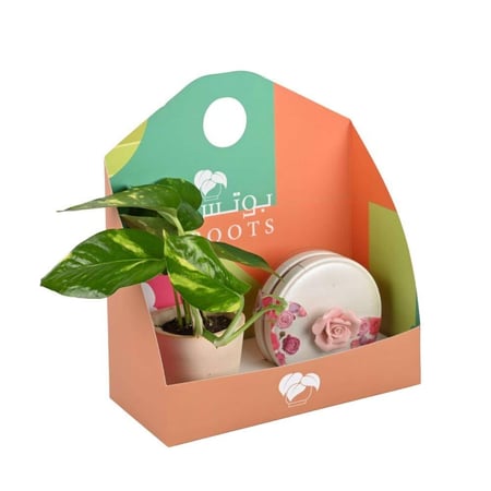 بوكس بوتس مع شوكولاتة بستاني الوردة هدية أنيقة