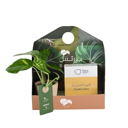 بوكس بوتس مع قهوة سعودية من هجين هدية أنيقة