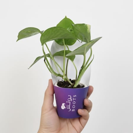 توزيعات رمضان