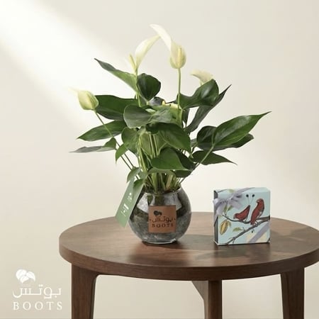 اللؤلؤة البيضاء