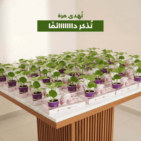 هدية رمضانية