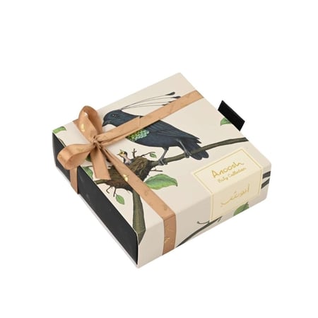 بوكس نبتة بوتس مع شوكولاتة مغلفة بشريط بني أنيق