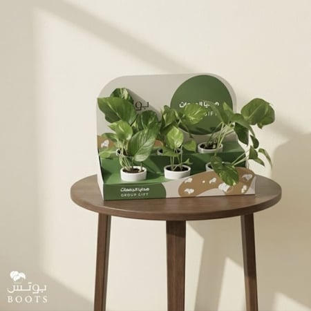 بوكس احلى الجمعات