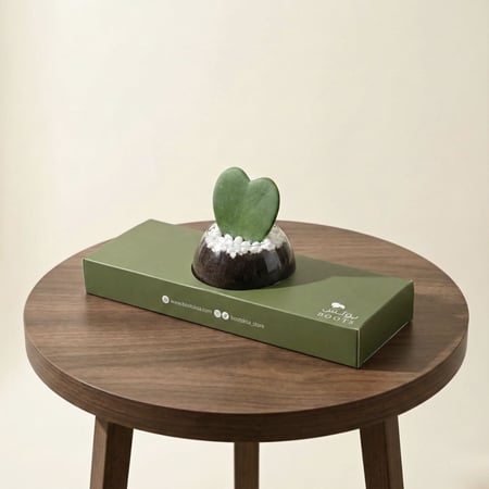 توزيعات القلب