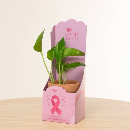 هدية توعوية