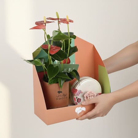 هارموني روز