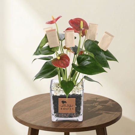 هارموني كلاس