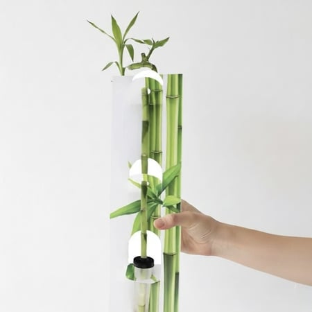 هولدر بامبو هولندي