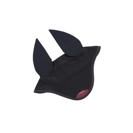 CICHITA Earnet