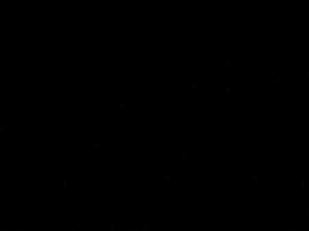 تغليف هدايا