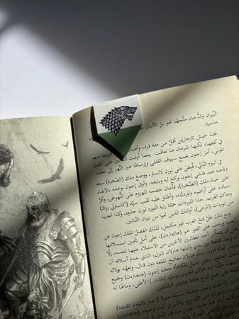 فاصل مغناطيسي
