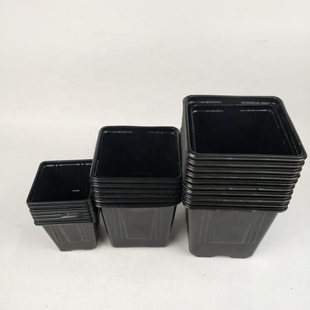 مراكن تشتيل مربعة 9 سم (12 قطعة)