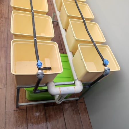 طاولة دتش بكت | 10 حوض مزدوج