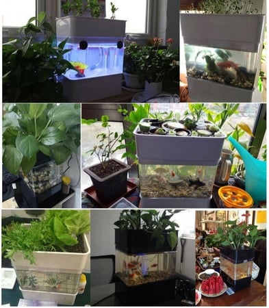 نظام اكوابونيك مكتبي