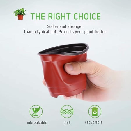 مراكن تشتيل 9 سم