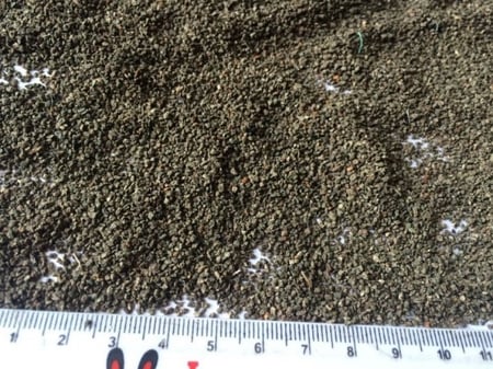 سماد الطحالب - 0.8Kg - Kelp Meal