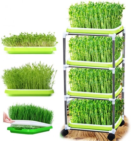 مجموعة صواني مكروجرين مع الستاند