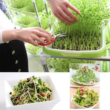 مجموعة صواني مكروجرين مع الستاند