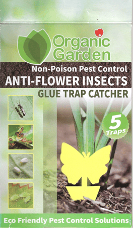 لاصق صائد حشرات فراشة