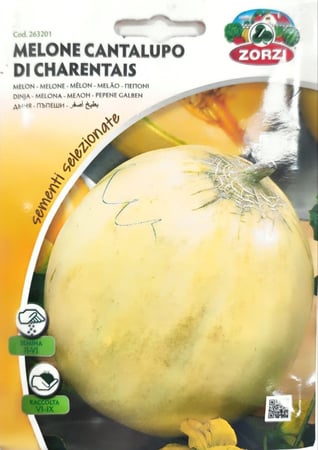 بذور بطيخ اصفر