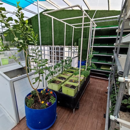 نظام دتش بكت بلس مع حوض و حامل | 10 شتلة