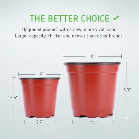 مراكن تشتيل 14 سم