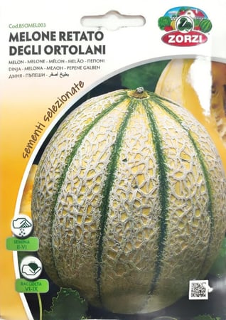 بذور بطيخ اصفر