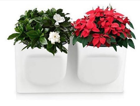 جداري جهة واحدة 2 شتلة