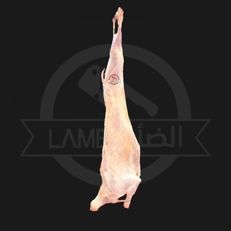 تيس كشميري وسط