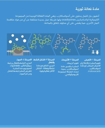 إبرتان من جل الصراصير الأصلي (صناعة أمريكية)