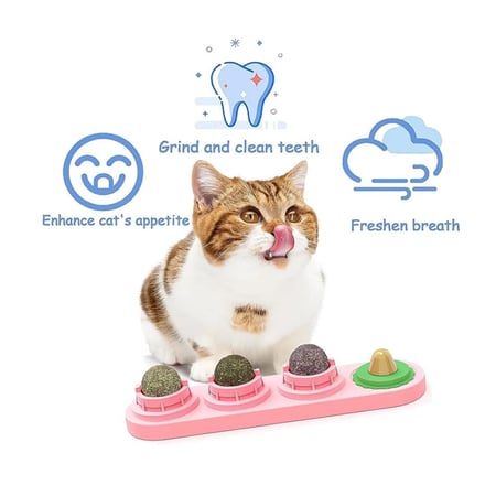 كرات نعناع بري دوارة للقطط لتنظيف الأسنان