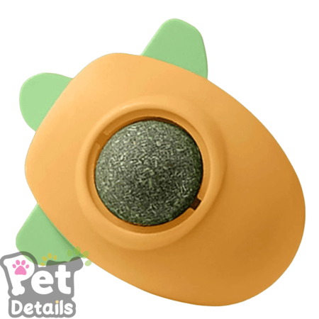 كورة كاتنيب للقطط -تتلصق بالاسطح