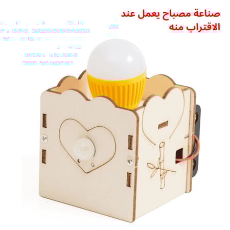 العاب تعليمية خشبية للأطفال لتعلم الكهرباء والمغناطيسية والتجارب الفيز