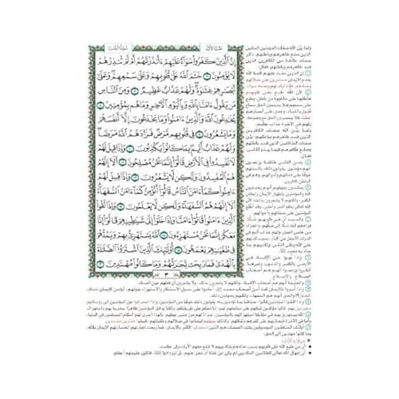 المختصر في تفسير القران الكريم مقاس جوامعي 20*28 - القرآن الكريم