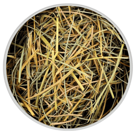 عشبة الاذخر