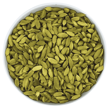 هيل امريكي رقم 1