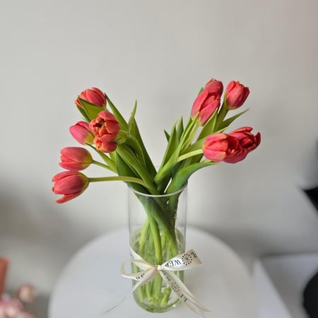 فازة توليب اورنج هولندي